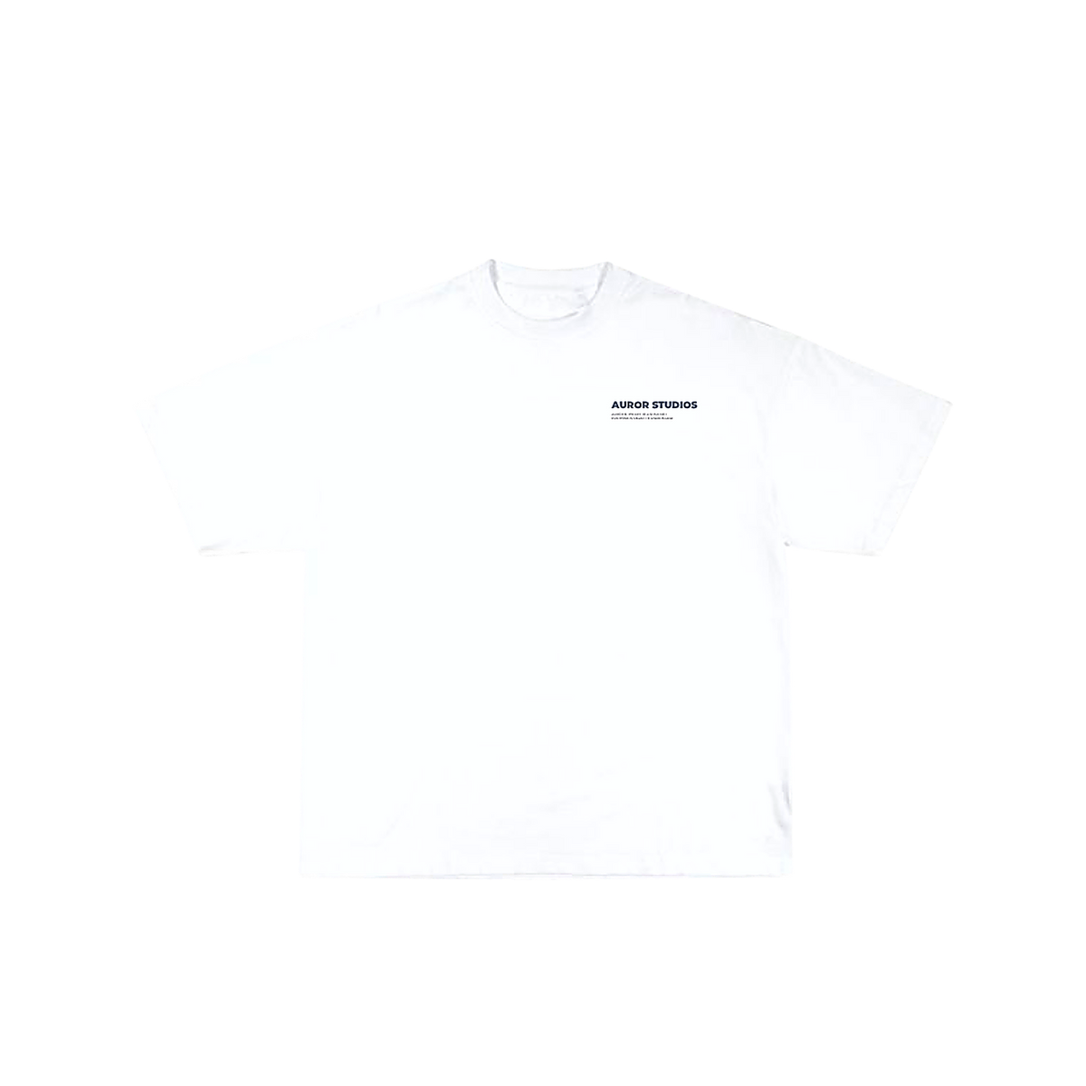 Camiseta Oversize "Auror Gallery".
